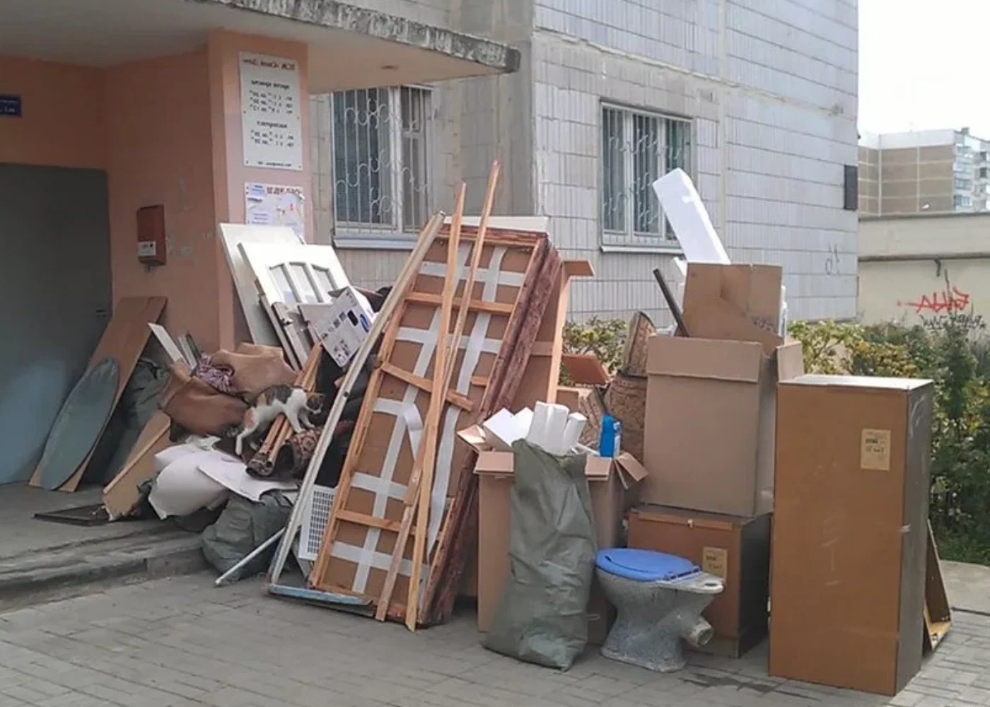 Профессиональный вывоз мусора из квартиры в Гусе-Хрустальном в октябре