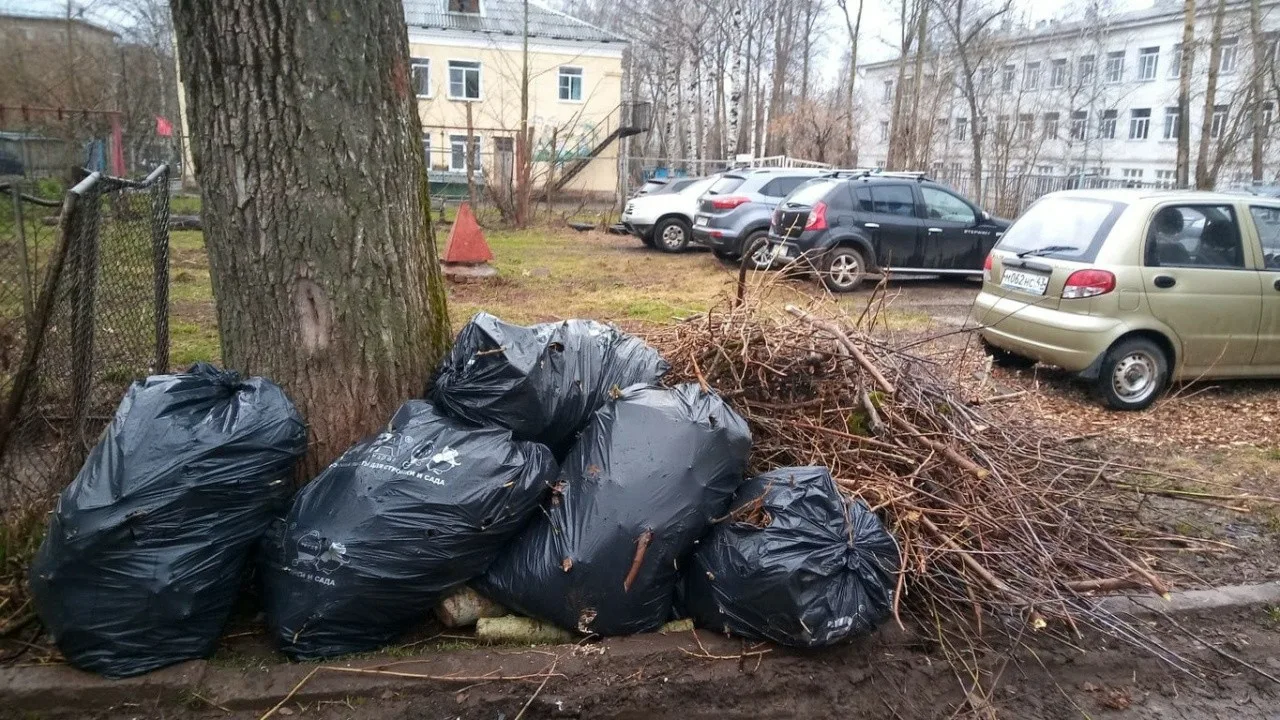Вывоз мусора после субботника в Гусе-Хрустальном от ПроМусор – уборка и утилизация отходов от 2514 руб