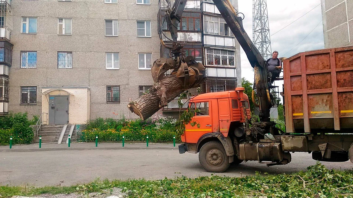 Вывоз спиленных веток и деревьев в Гусе-Хрустальном от ПроМусор: порубочные остатки, утилизация, цена от 3102 руб