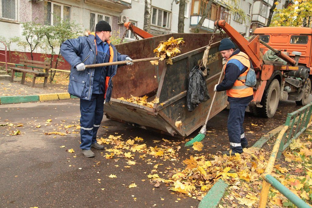 Вывоз опавшей листвы и растительного мусора в Гусе-Хрустальном от ПроМусор – цена от 4814 руб., быстрая уборка и утилизация